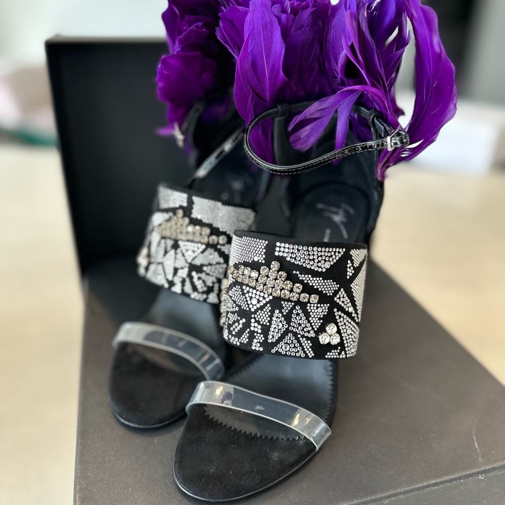 Giuseppe TALIA with Purple and Black Feathers